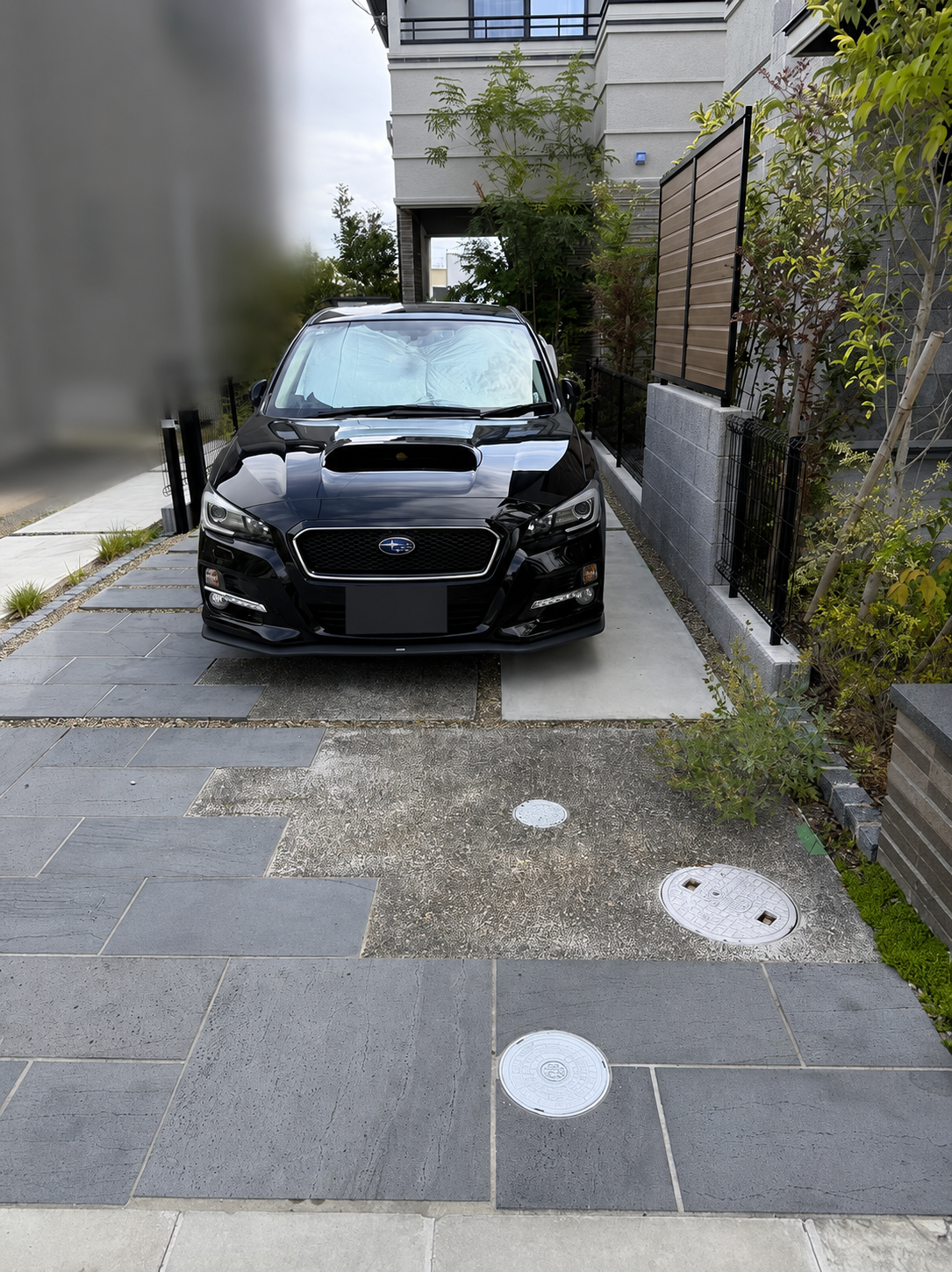 skw_z_s20260601