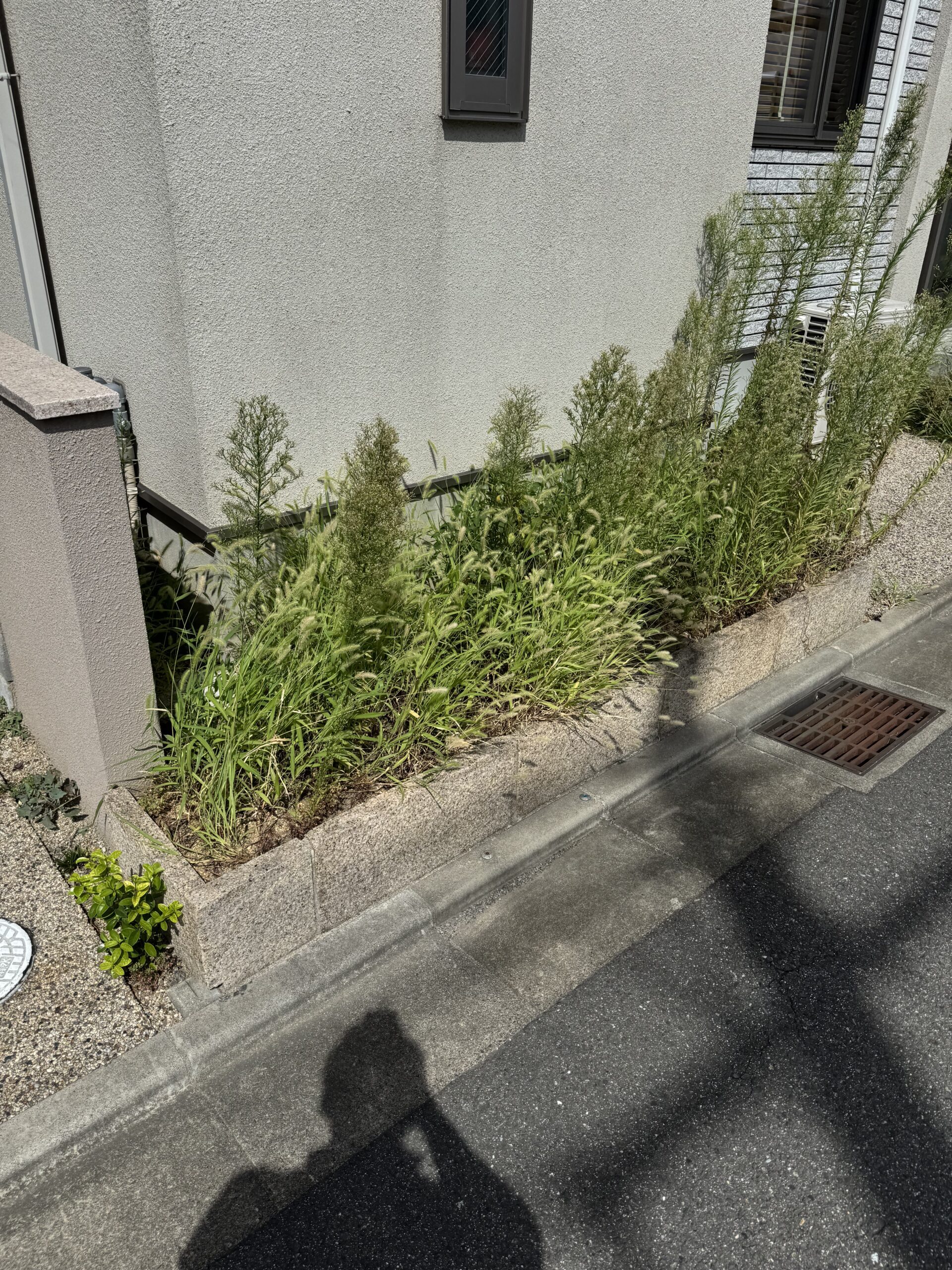 skw_z_20260701_001