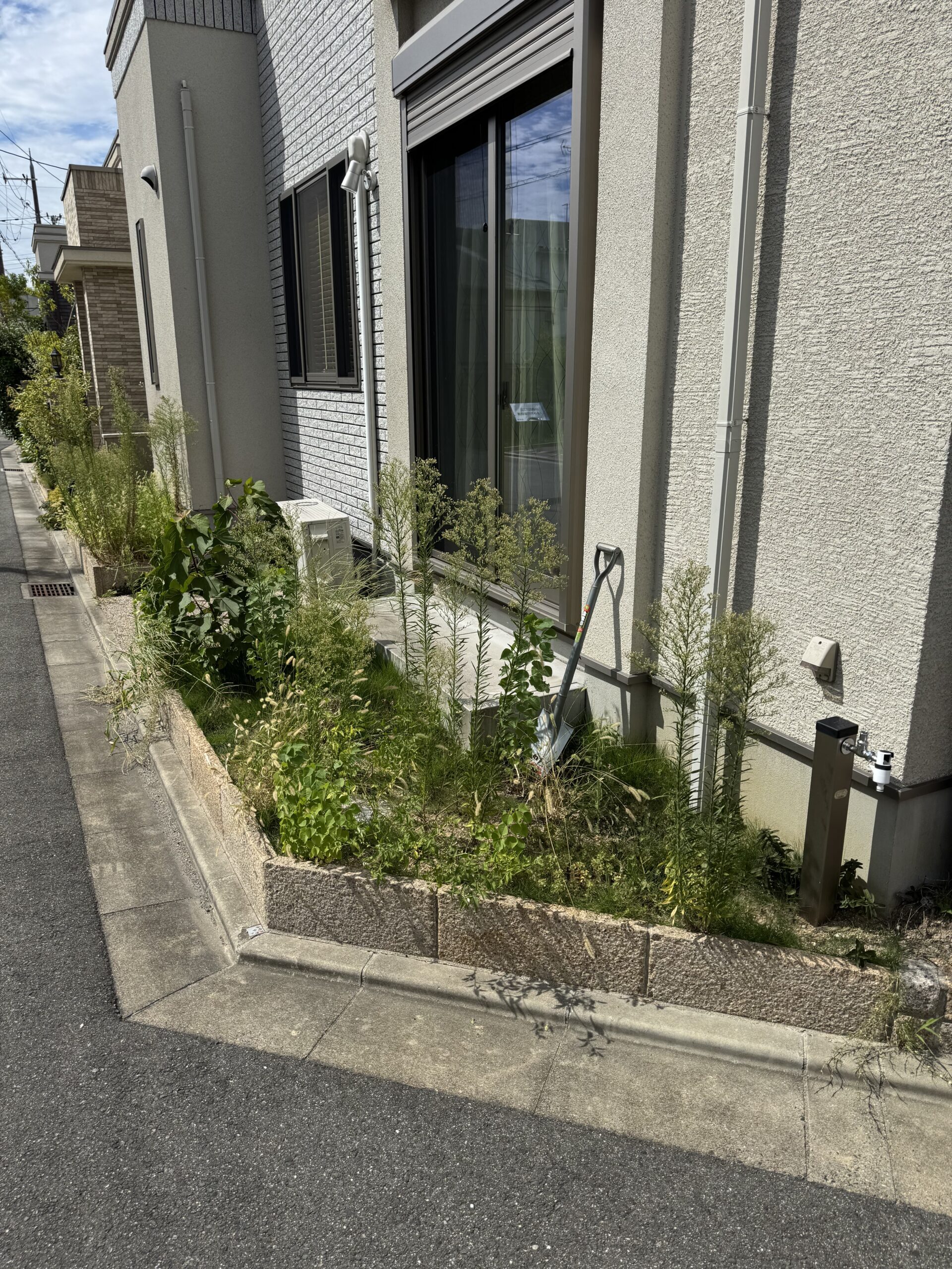 skw_z_20260701_003