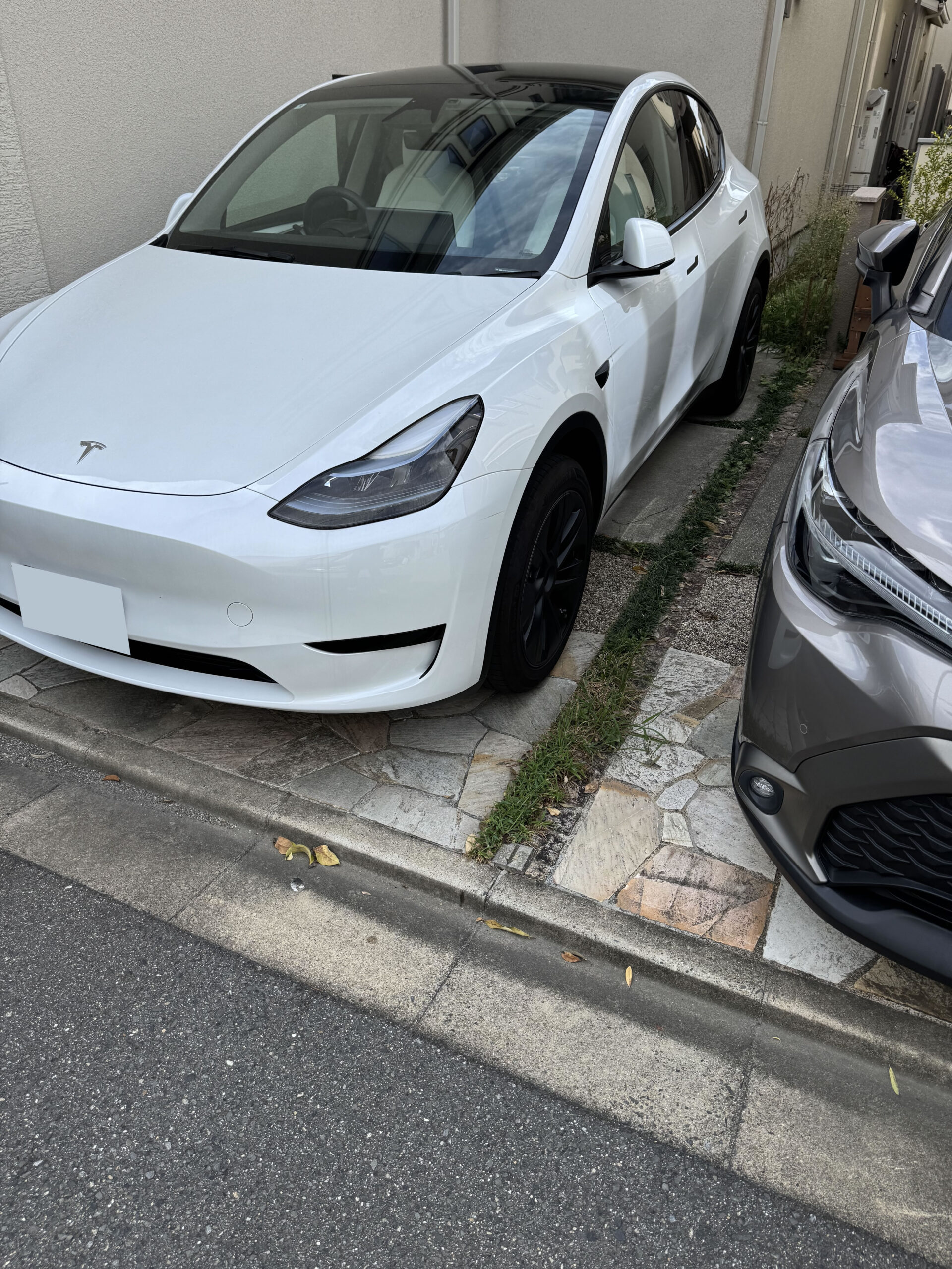 skw_z_20260701_004