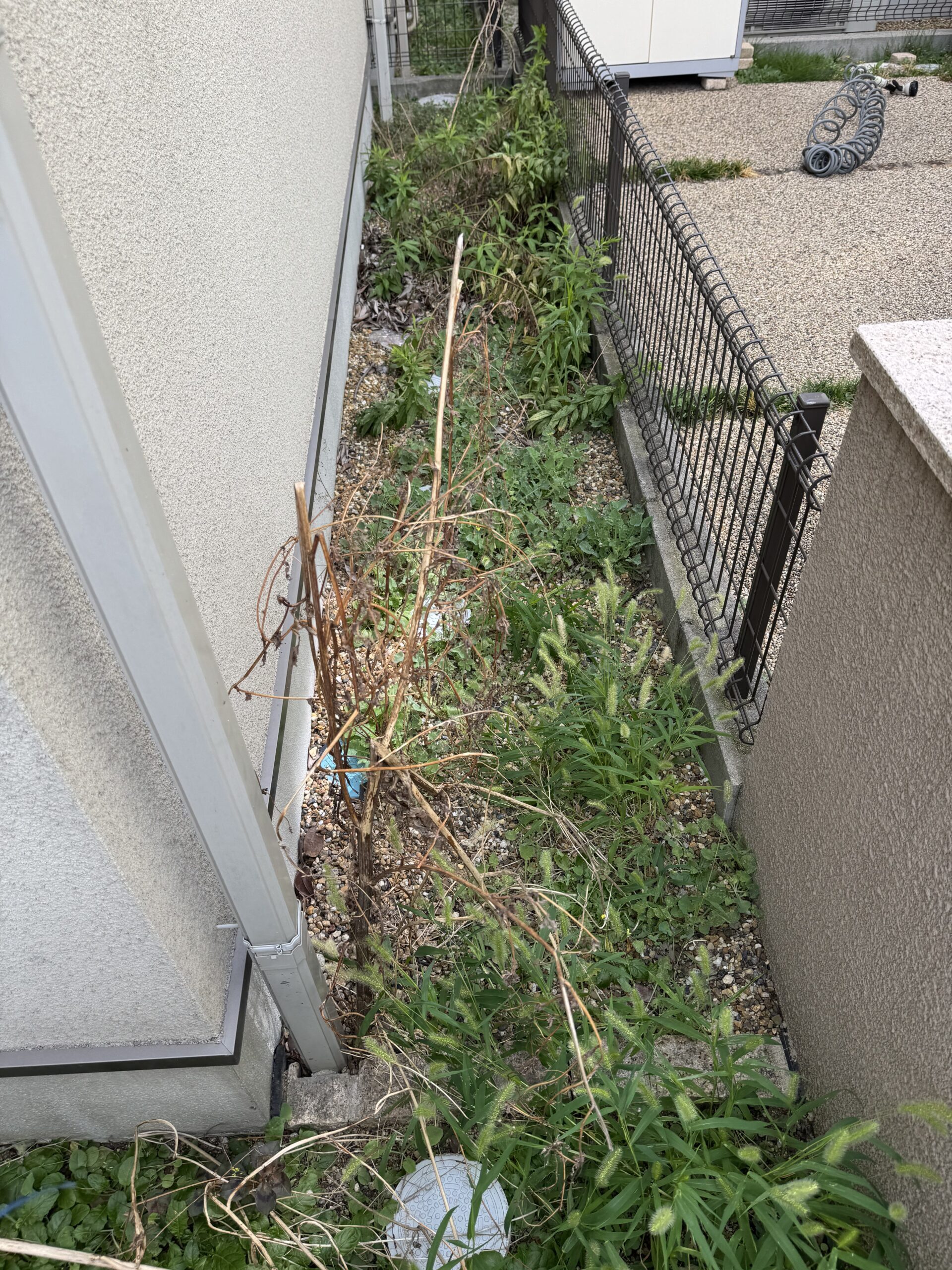 skw_z_20260701_005