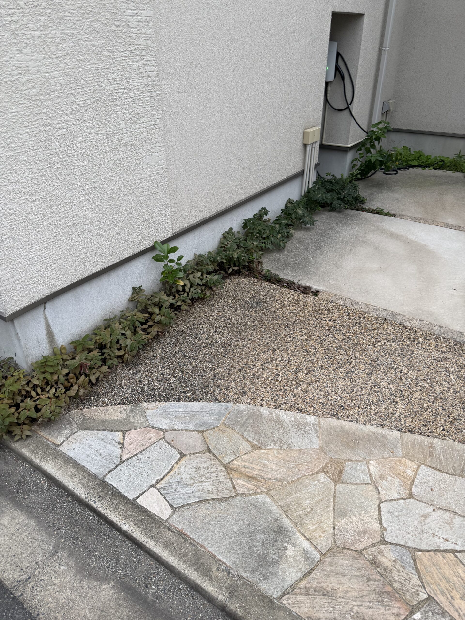 skw_z_20260701_007